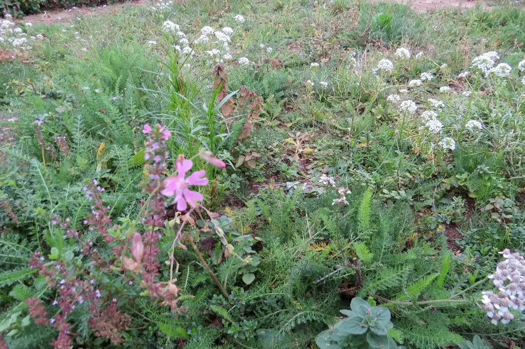 Fleurs Toiture & Intertombe
