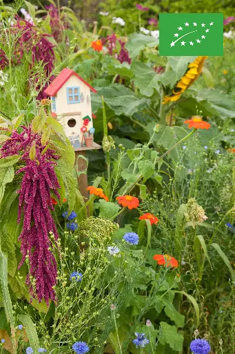 [BI08667] Fleurs Annuelles pour Oiseaux BIO